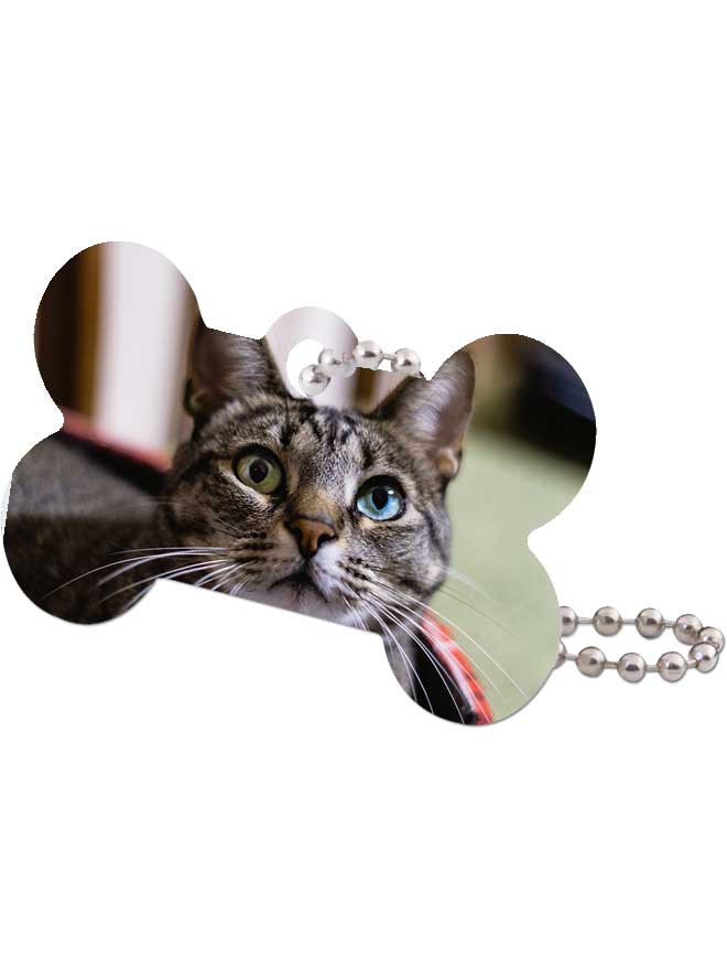 Custom printed bone shaped pet tag